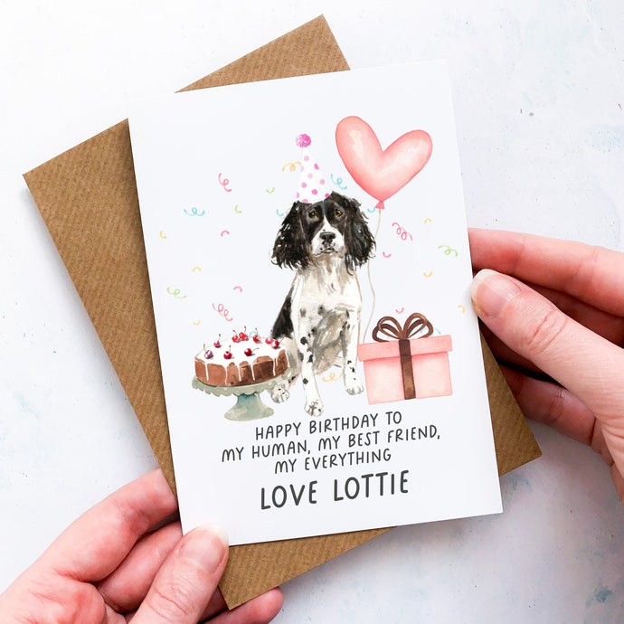 Personalised Springer Spaniel Birthday Card, Springer Pet Keepsake, From The Dog, From Pets, Pet Lover Gift, Pet Parent, Gift From Dogs